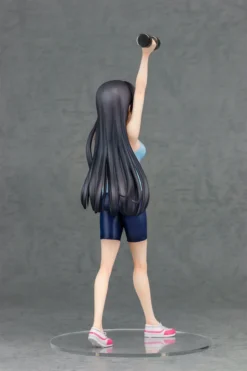 How Heavy Are The Dumbbells You Lift? Akemi Soryuin 1/7 Scale Figure -Otaku Bliss 002465c046db485e97345eb210c40b30.jpg