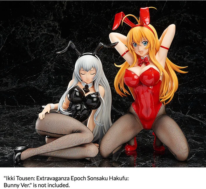 FREEing Ikki Tousen: Extravaganza Epoch Choun Shiryu: Bunny Ver. 7 FREEing Ikki Tousen: Extravaganza Epoch Choun Shiryu: Bunny Ver. - Image 5