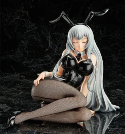 FREEing Ikki Tousen: Extravaganza Epoch Choun Shiryu: Bunny Ver.