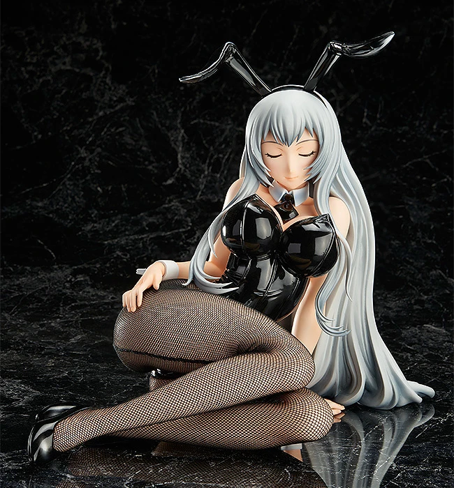 FREEing Ikki Tousen: Extravaganza Epoch Choun Shiryu: Bunny Ver. 3 FREEing Ikki Tousen: Extravaganza Epoch Choun Shiryu: Bunny Ver.