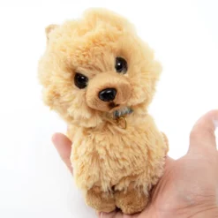 PUPS! Small Pomeranian Plush -Otaku Bliss 2c20c135452742aaa4dfd9c269d6481e.jpg