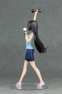 How Heavy Are The Dumbbells You Lift? Akemi Soryuin 1/7 Scale Figure -Otaku Bliss b92889031b414805aab10a38757ba290.jpg
