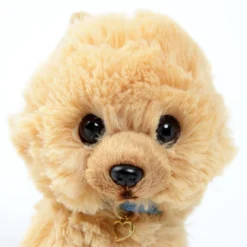PUPS! Small Pomeranian Plush -Otaku Bliss c7476dd0a6a4401682b358764334a9ef.jpg