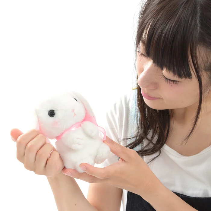 Pote Usa Loppy Onedari Rabbit Plush Collection (Standard) 11 Pote Usa Loppy Onedari Rabbit Plush Collection (Standard) - Image 9