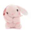 Pote Usa Loppy Rabbit Plush Collection (Ball Chain) 2 Pote Usa Loppy Rabbit Plush Collection (Ball Chain) -Otaku Bliss d699a8e36be047c698aa000e81fe4c83.jpg
